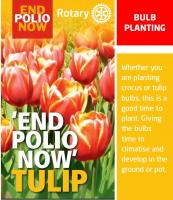 Bulb planting to highlight (EPN) End Polio Now